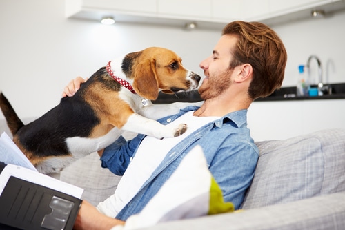 homme avec son chien