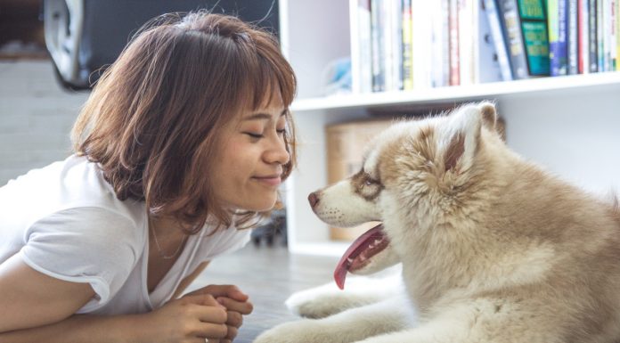 femme avec son chien