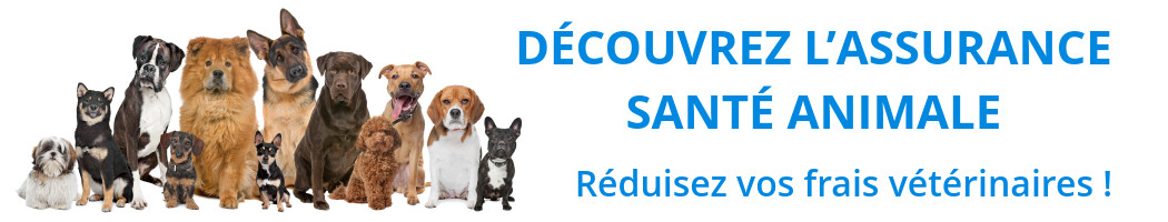 devis_assurance_animaux